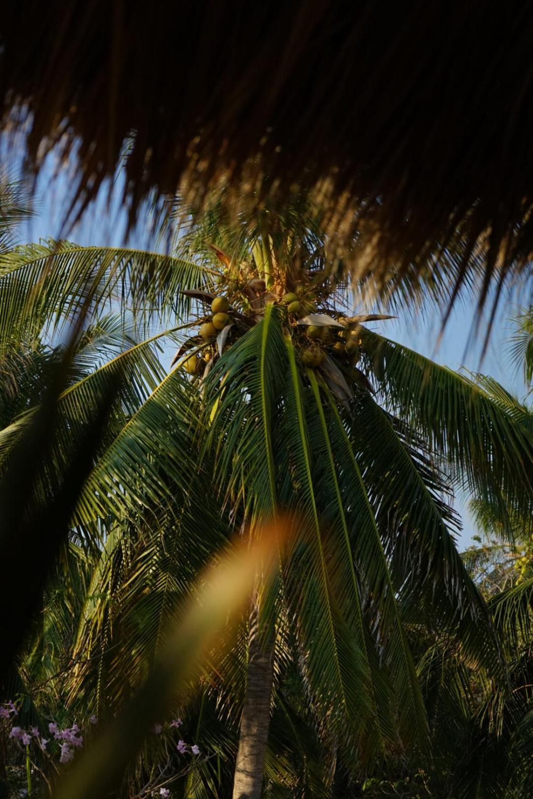 Casa Badu * Puerto Escondido (Oaxaca)